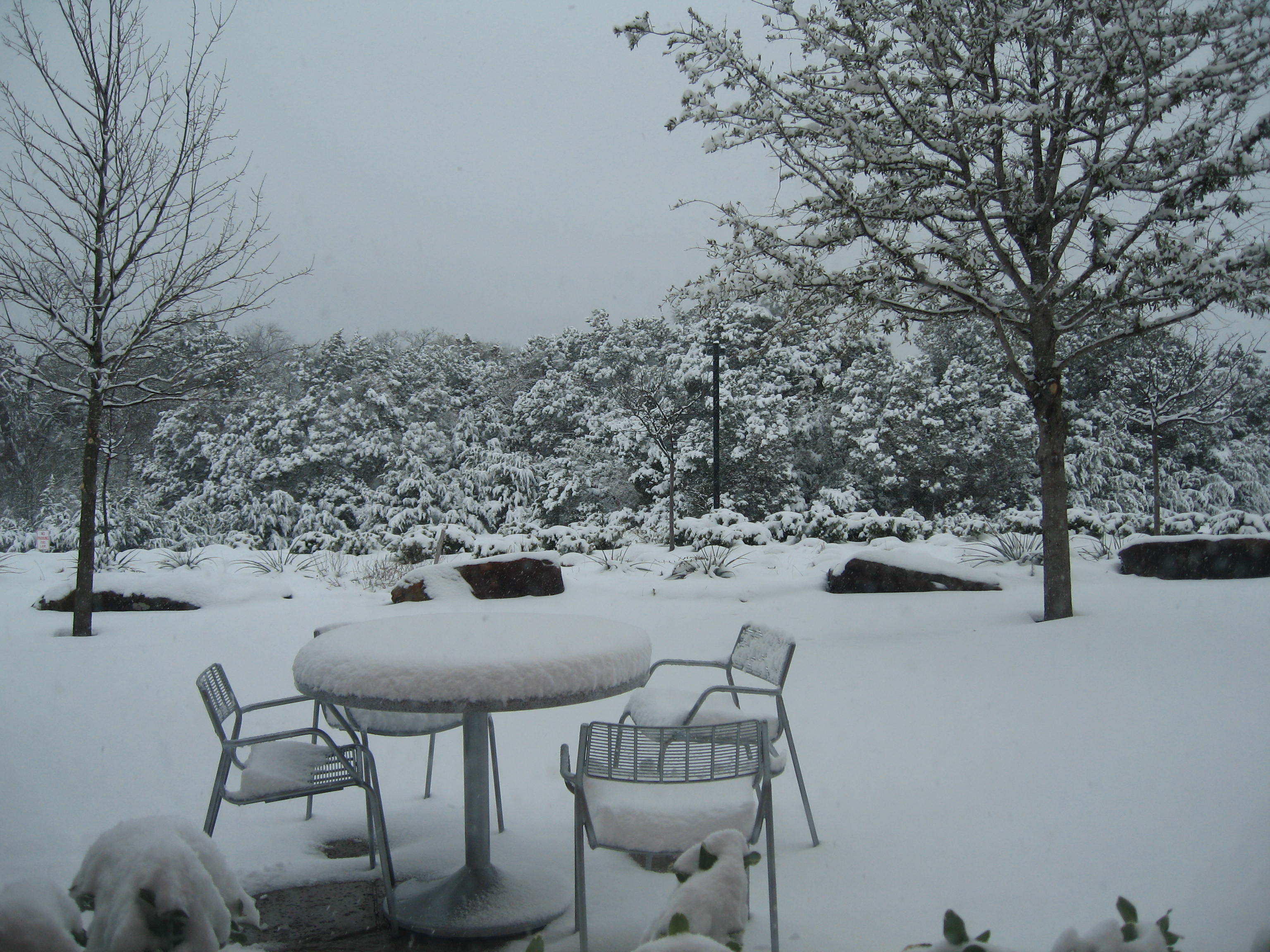 10.02.11 cedar hill snow scenes 018